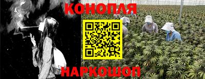 гидропоника Краснокаменск