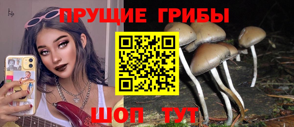 Галлюциногенные грибы Psilocybine cubensis Гусь-Хрустальный