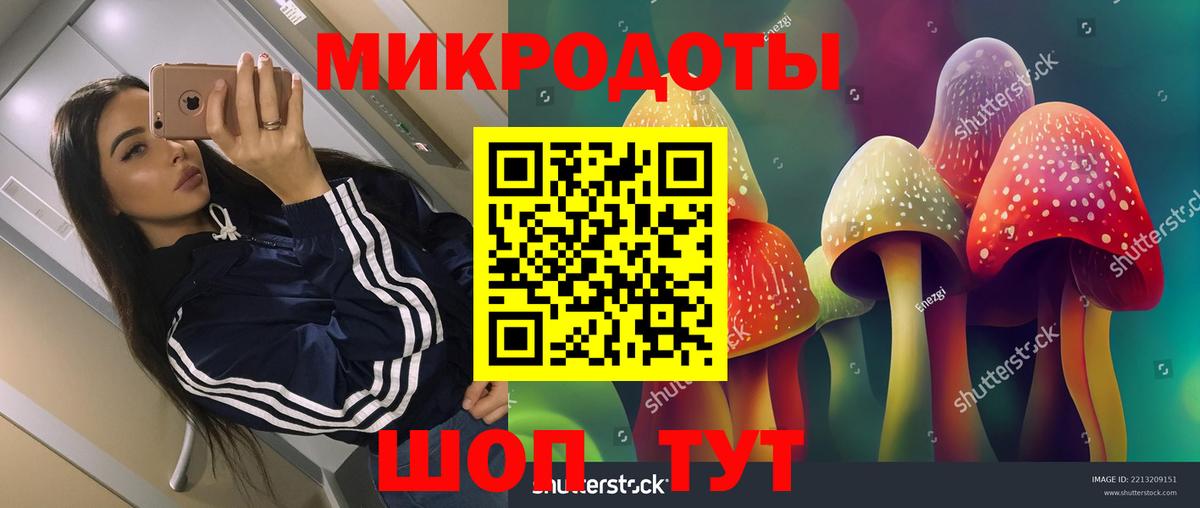 Гусь-Хрустальный  Галлюциногенные грибы Psilocybine cubensis  что такое   Псилоцибиновые грибы мухоморы  Вход с VPN 